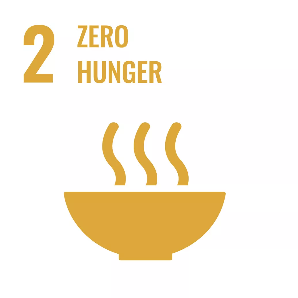  SDG 2 Zero Hunger  