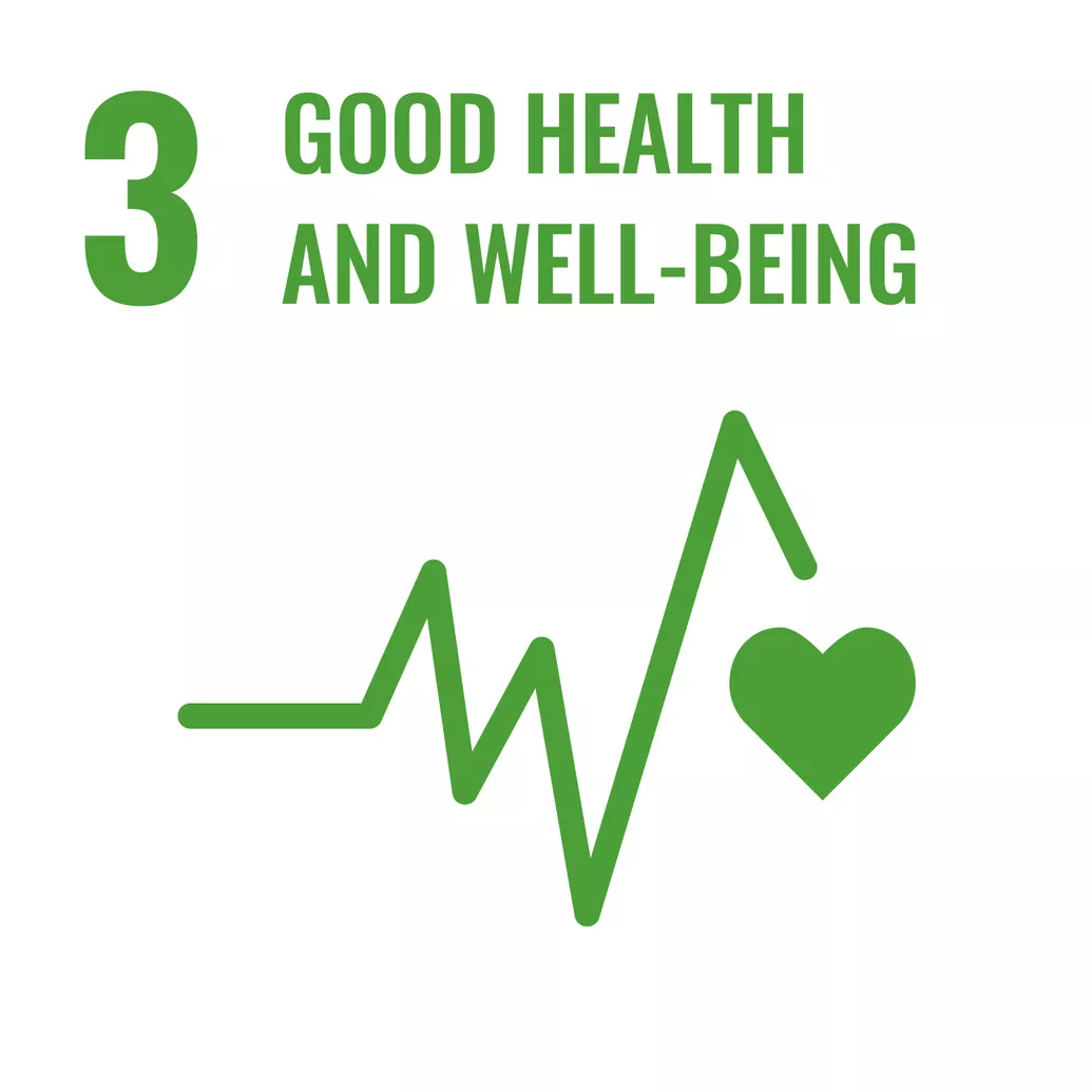  SDG 3 : Good Health and Wellbeing  