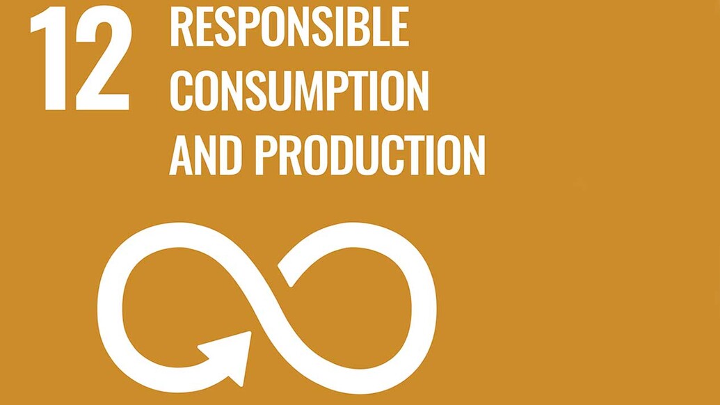 Sustainable Development Goal logo 12 - Responsible Consumption and Production