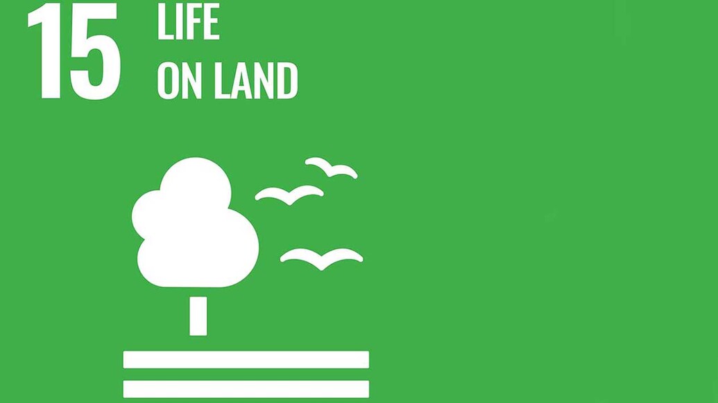 Sustainable Development Goal logo 15 - Life on Land