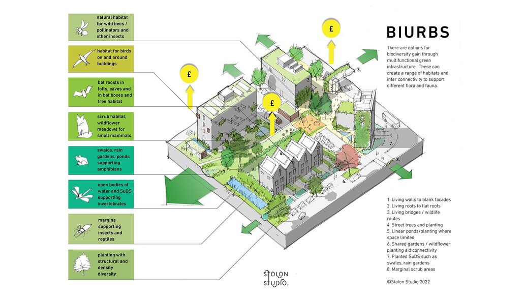 Drawing of biodiversity infrastructure