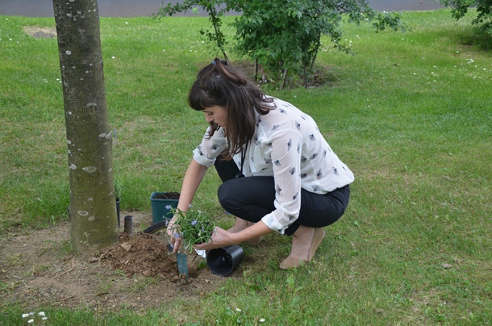 A member of the team kneeled down planting