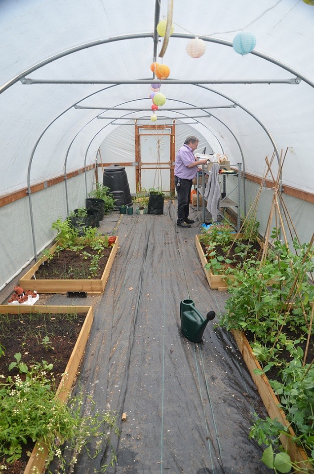 A team member in our UEL greenhouse