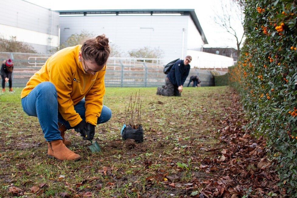 A woman digging in the soil. She wears a yellow jacket, blue jeans and tan boots. In the background, a man is also digging.